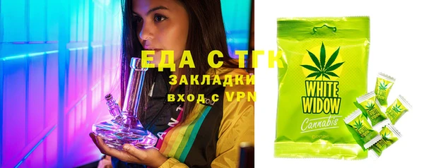 индика Ладушкин