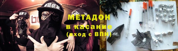 индика Ладушкин