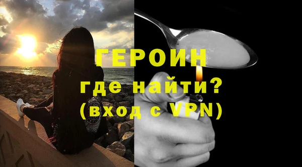 индика Ладушкин