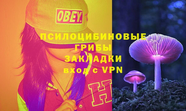 2c-b Липки