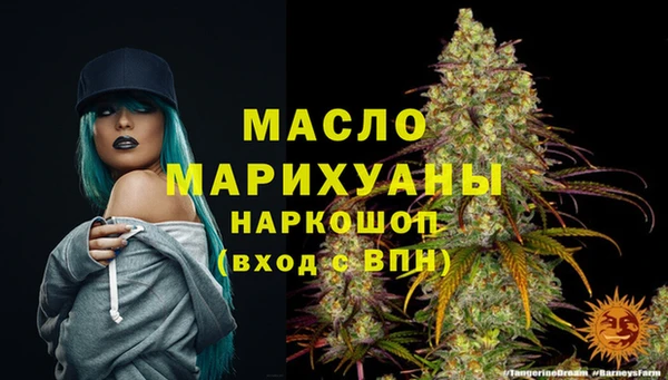 молекула духа Лабытнанги