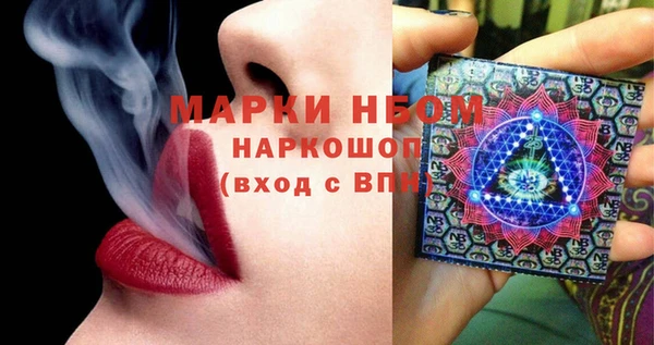 индика Ладушкин