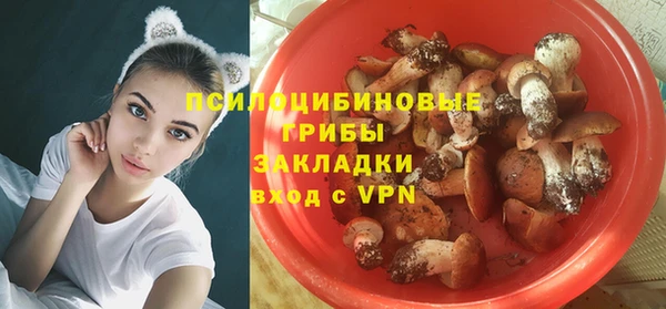 молекула духа Лабытнанги