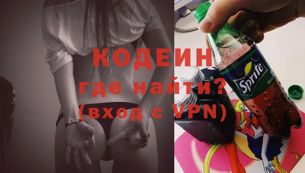 молекула духа Лабытнанги