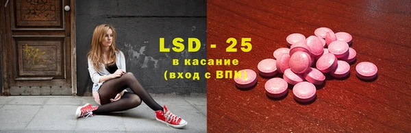 индика Ладушкин