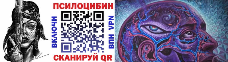 Псилоцибиновые грибы Psilocybe  это официальный сайт  Тотьма 